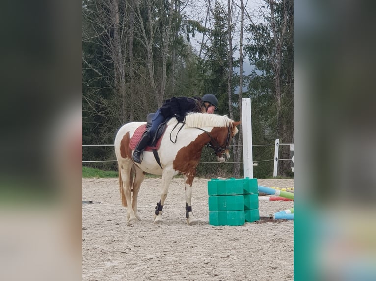 Reitbeteiligung gesucht in Deutschlandsberg– liebevolle und motivierte Reiterin 