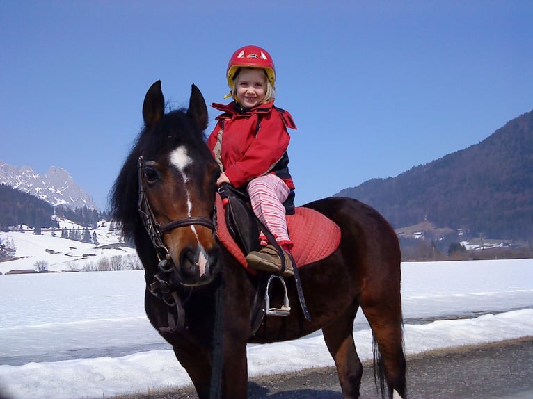 Reitbeteiligung gesucht (Mensch sucht Pferd)  Reitbeteiligung gesucht (Mensch sucht Pferd)