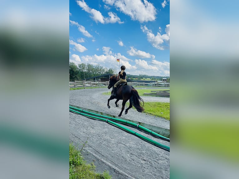 Reitbeteiligung gesucht ( Reiter sucht Pferd ) 