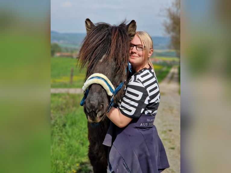 Reitbeteiligung gesucht! (Reiter sucht Pferd)