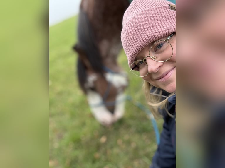 Reitbeteiligung gesucht; Reiter sucht Pferd 