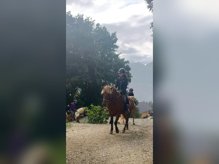 Reitbeteiligung gesucht, Reiter sucht Pferd