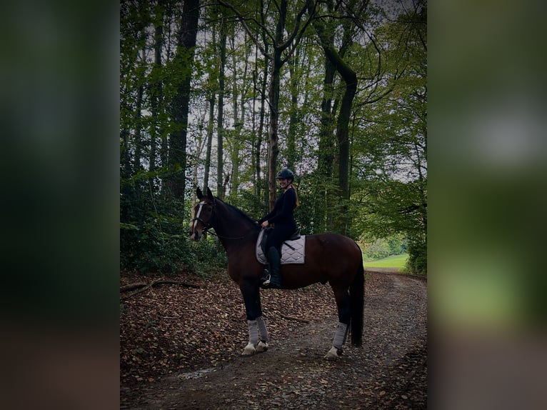 Reitbeteiligung gesucht (RsP)