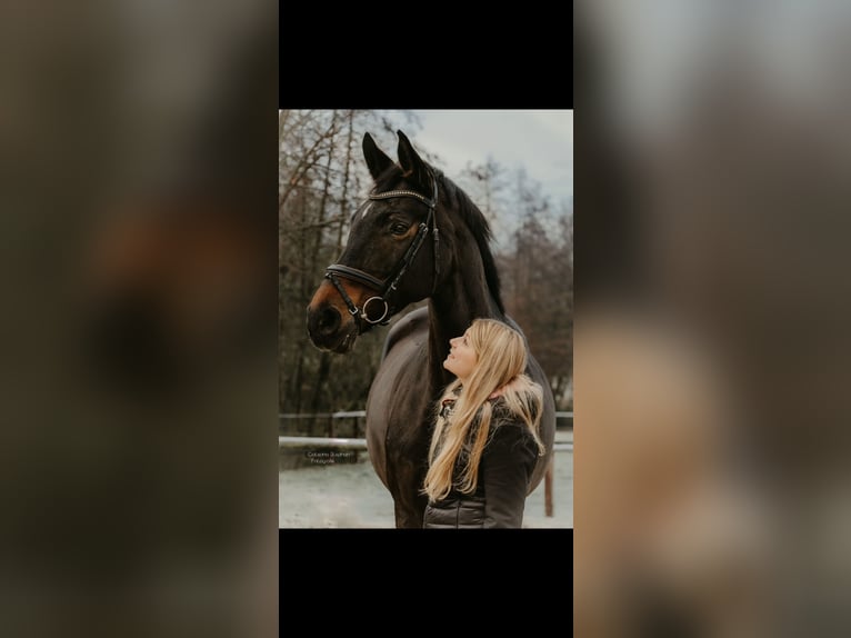 Reitbeteiligung gesucht 