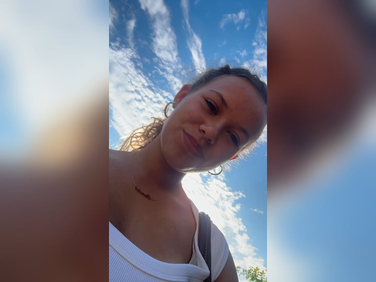 Reitbeteiligung in Aachen gesucht
