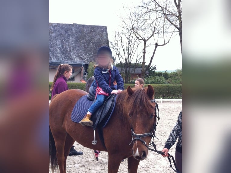 Reitbeteiligung (Mensch sucht Pferd)