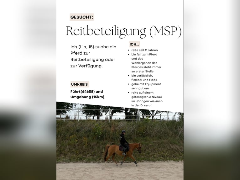Reitbeteiligung oder Pferd zur Verfügung gesucht (MSP) Reitbeteiligung oder Pferd zur Verfügung gesucht (MSP)