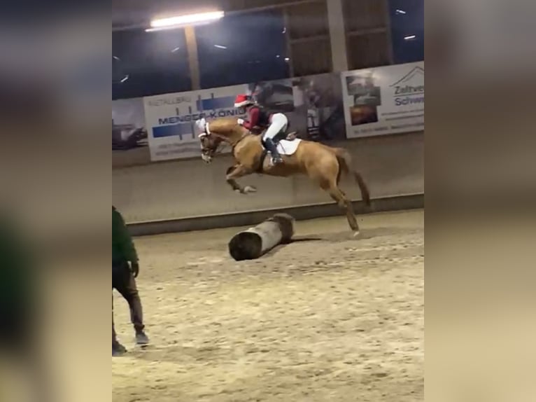 Reitbeteiligung (RsP)