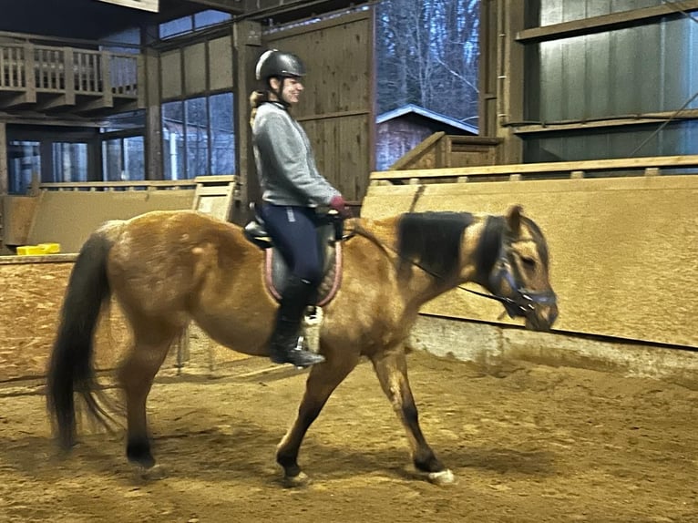 Reitbeteiligung (RsP) Reitbeteiligung (RsP)