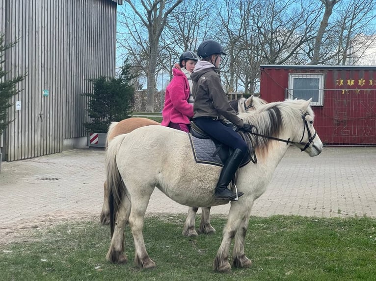 Reitbeteiligung (RsP)