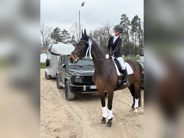 Reitbeteiligung (RsP)