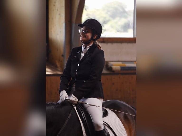 Reitbeteiligung verzweifelt wieder gesucht