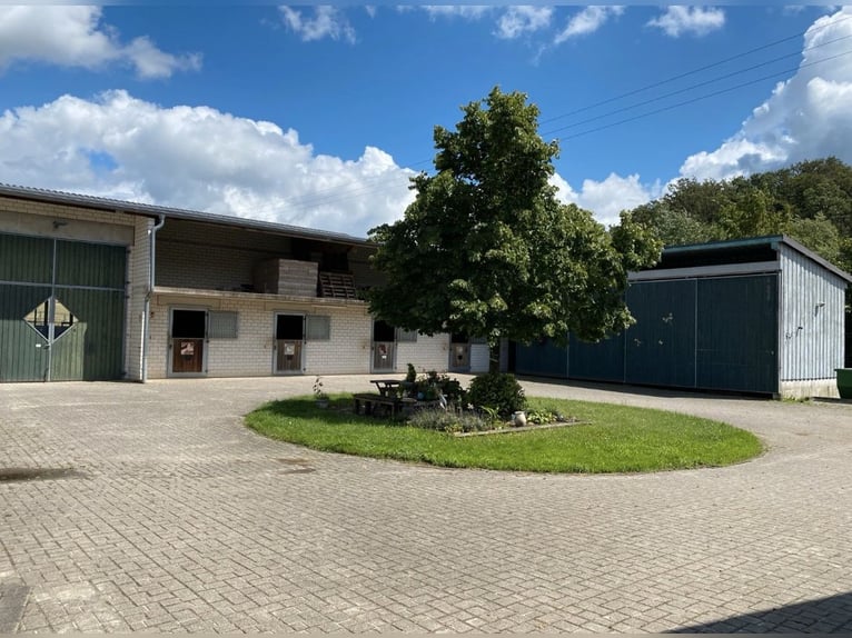 Reitbeteiligung