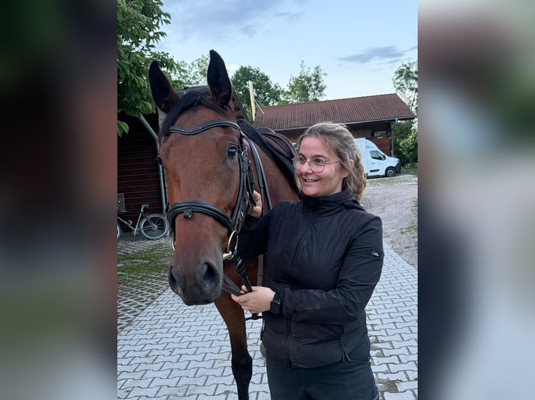 Reitbeteiligung
