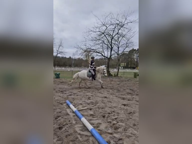 Reitbeteiligung