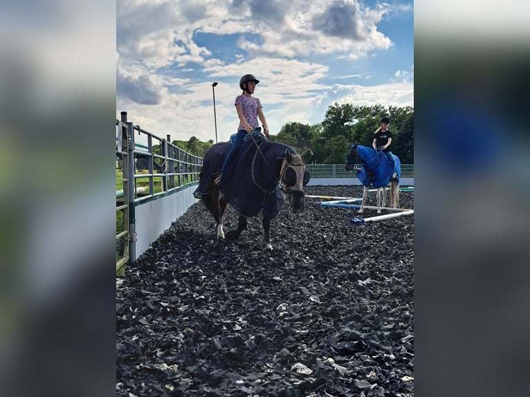 Reiter sucht Pferd  (Nähe 33449Langenberg)