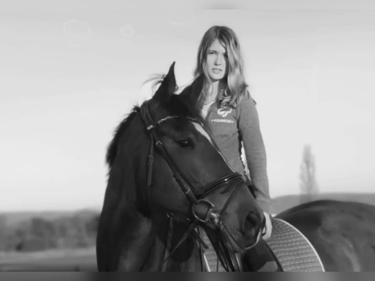 Reiterin (22) sucht Reitbeteiligung (Pferd) 