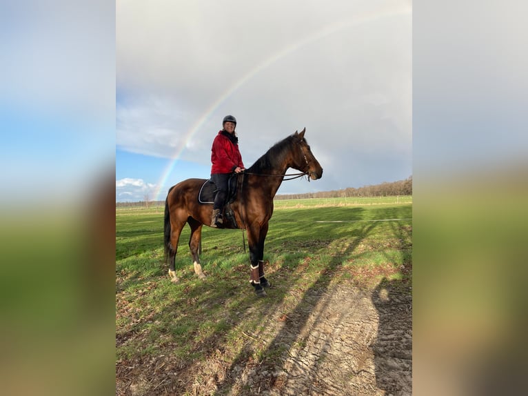Reitpartnerschaft gesucht Reitpartnerschaft gesucht