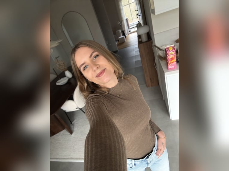 Reitunterricht / Reitbeteiligung gesucht