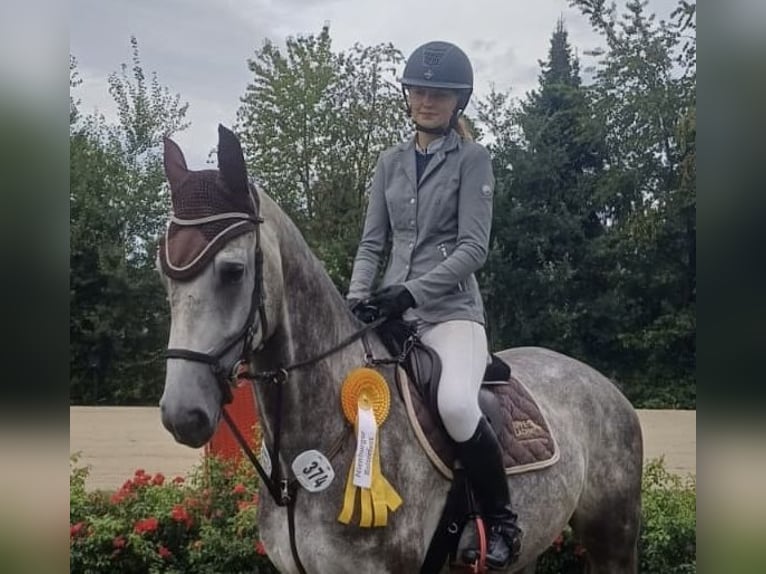 Rijnlander Ruin 5 Jaar Schimmel in Nienburg (Weser)