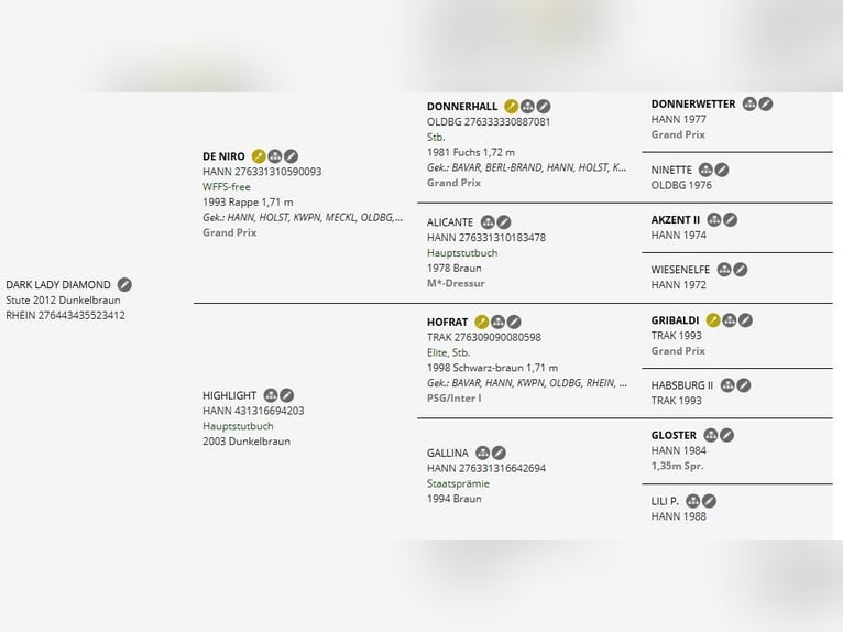 Rouan bai Jument 13 Ans 165 cm Bai brun foncé in Taufkirchen