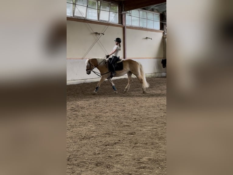 RsP Nähe Stuttgart