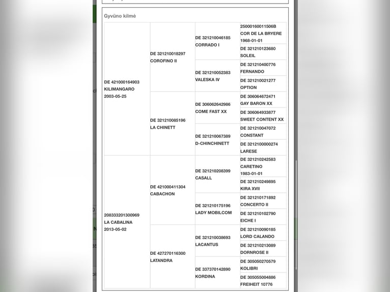 Sang-chaud letton Jument 5 Ans 165 cm Bai cerise in Šiauliai