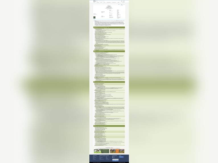 sangre caliente belga Yegua 16 años 168 cm Alazán in Forville