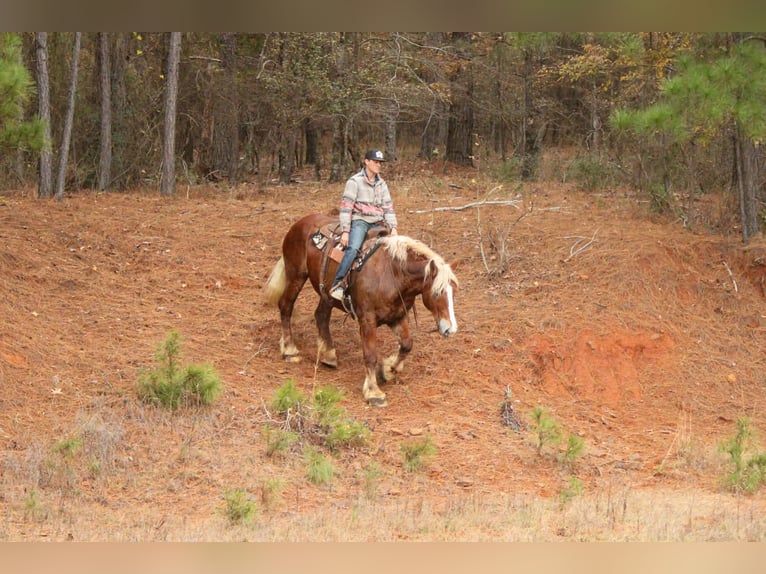 Sangre fría belga Caballo castrado 10 años Alazán-tostado in Rusk