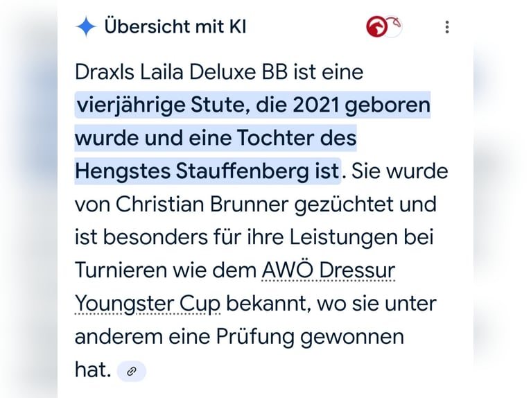 Selle autrichien Jument 4 Ans 159 cm Noir in Wolfsberg Selle autrichien Jument 4 Ans 159 cm Noir in Wolfsberg