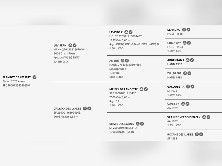 Selle Français Hengst 1 Jaar Vos in Boursay