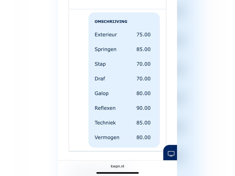 Selle français Mix Klacz 14 lat 165 cm Gniada in Nederhorst den Berg
