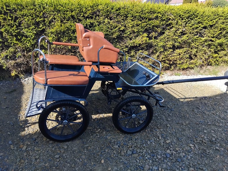 Shetland Castrone 5 Anni 104 cm Pezzato in Ilmtal-Weinstraße