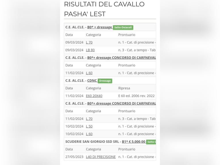 Sonstige Rassen Wallach 13 Jahre Brauner in Castiglione d&#x27;Adda