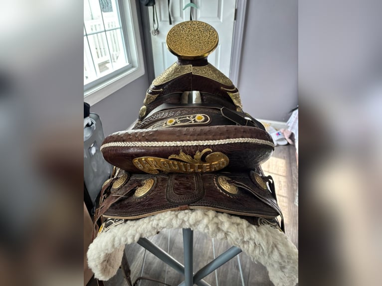 Sportivo Spagnolo / Sportivo della Spagna Giumenta 9 Anni 155 cm Può diventare grigio in Laurel, MD
