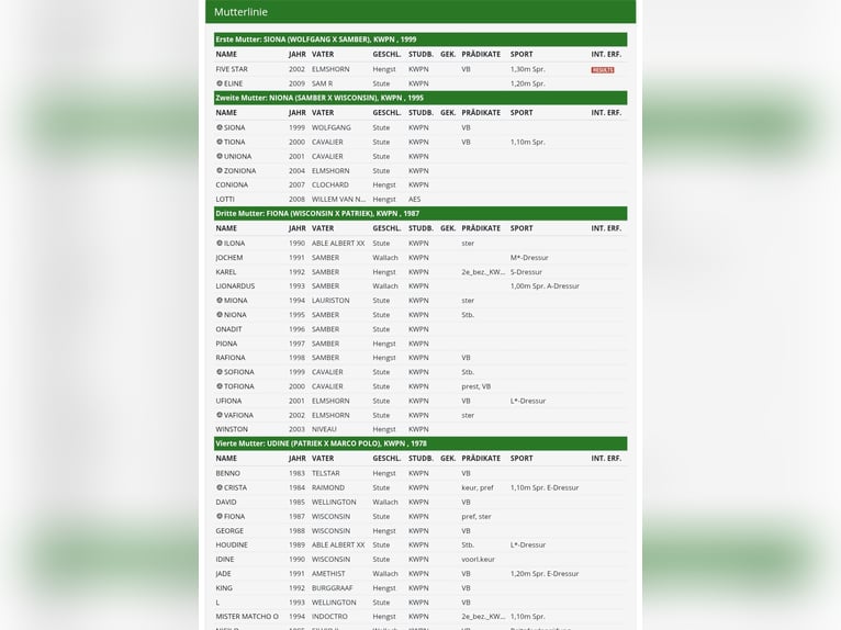 Sportivo Tedesco / Sportivo della Germania Giumenta 16 Anni 165 cm Morello in Frauenstein