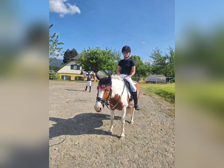 Such eine Reitbeteiligung in meiner nähe