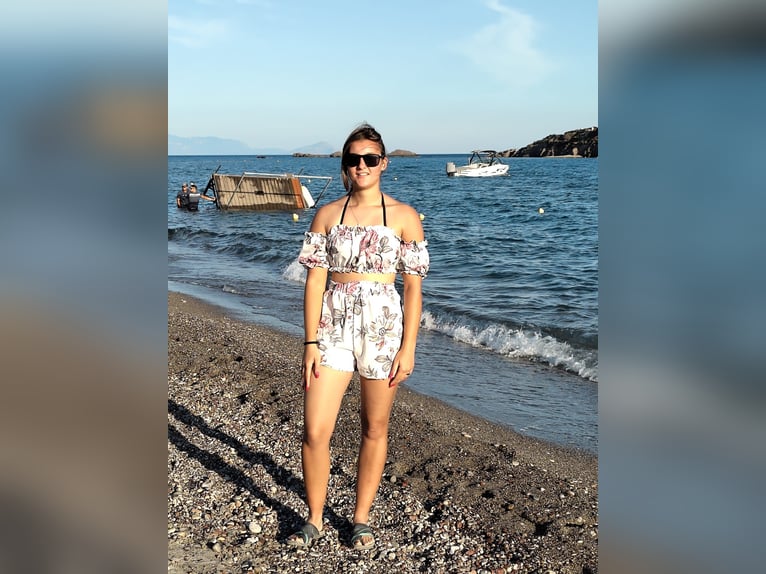 Suche eine Reitbeteiligung 