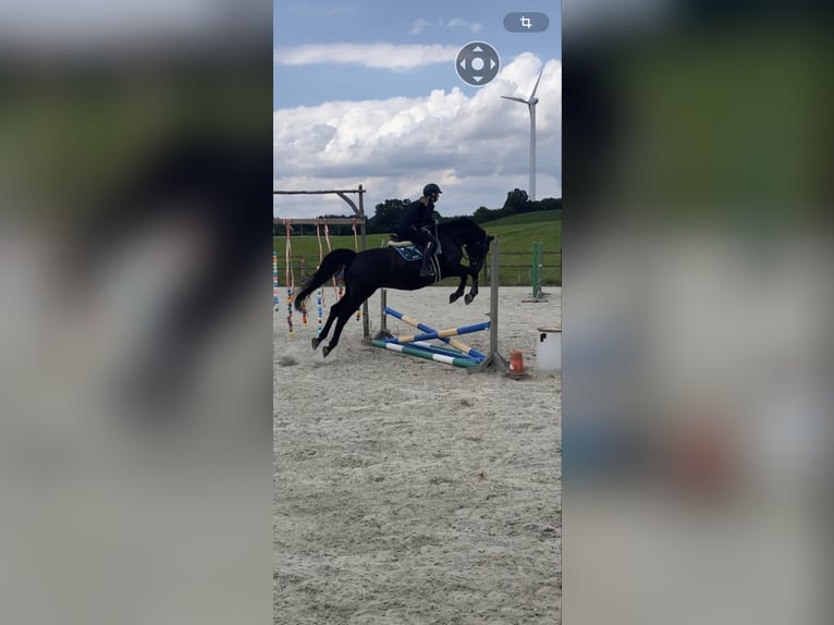Suche einen besten Freund zur Verfügung oder auch Kauf wenn alles passt