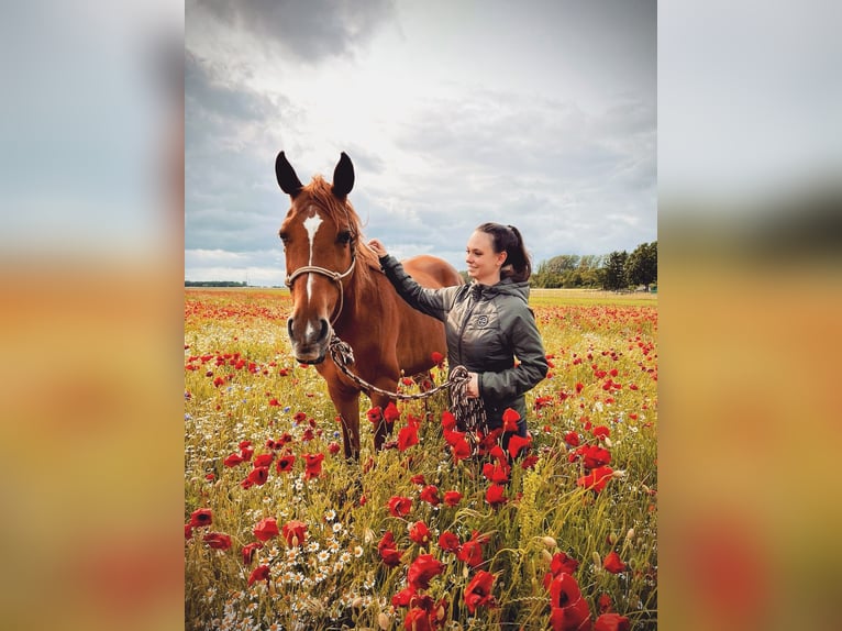 Suche Freizeitpartner