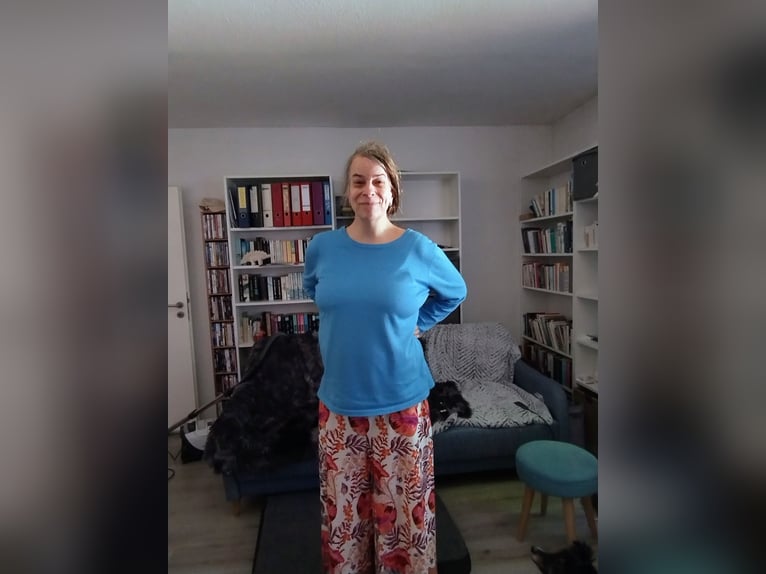 Suche Pflege/ Reitbeteiligung an einem Islandpferd, Raum Hamm/ MS