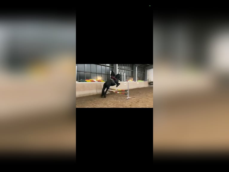 Suche RB für zwei Personen am selben Pferd Suche RB für zwei Personen am selben Pferd