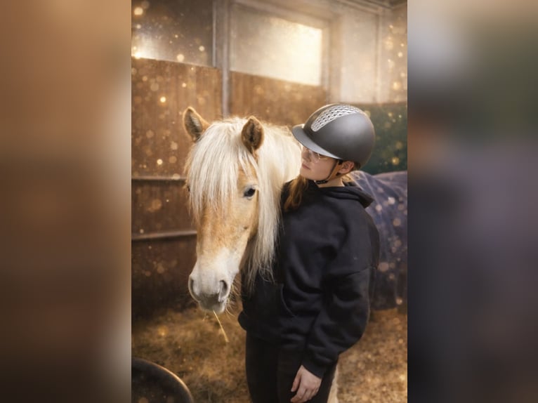 Suche Reitbeteiligung als Reiterin