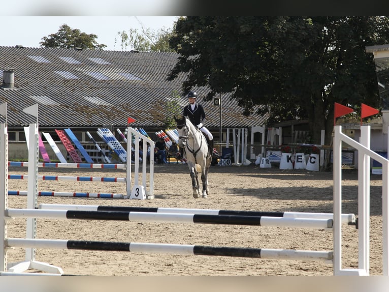 Suche Reitbeteiligung für Turniergänge