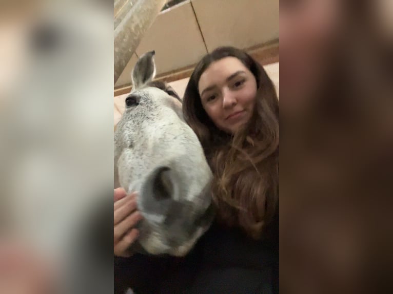Suche Reitbeteiligung für Turniergänge