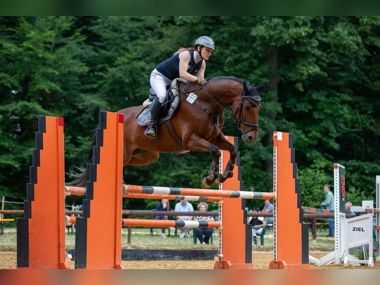 Suche Reitbeteiligung im Umkreis von 71394 Kernen