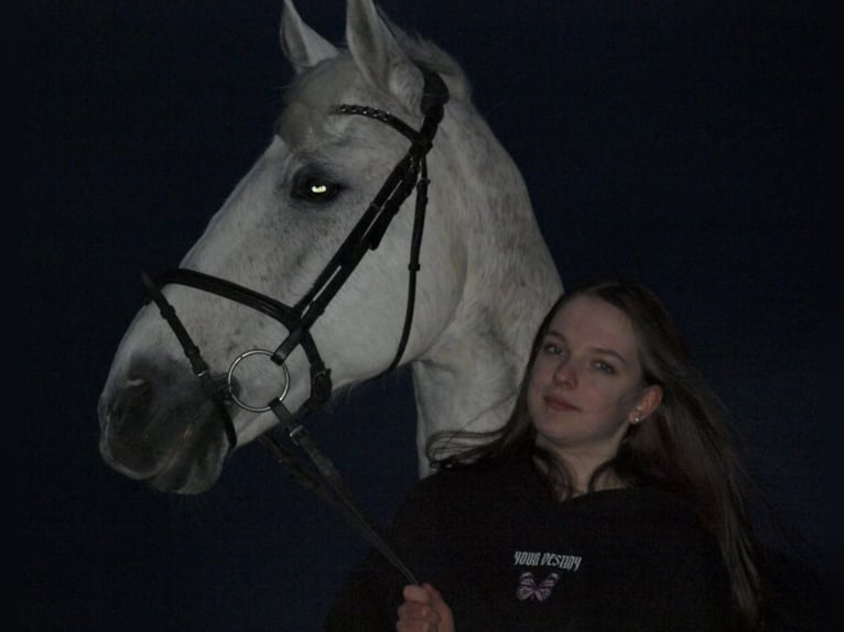 Suche Reitbeteiligung Marl/Dorsten
