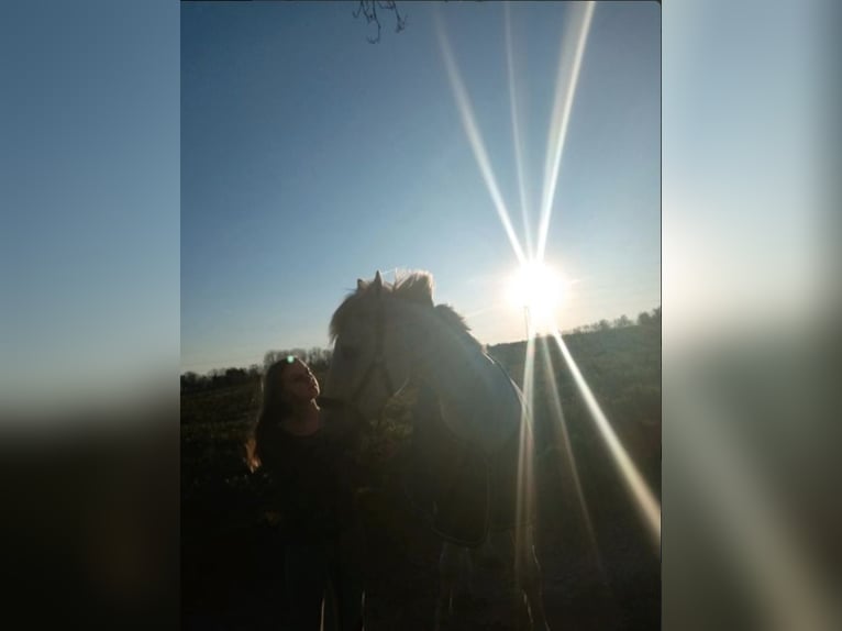 Suche Reitbeteiligung Marl/Dorsten
