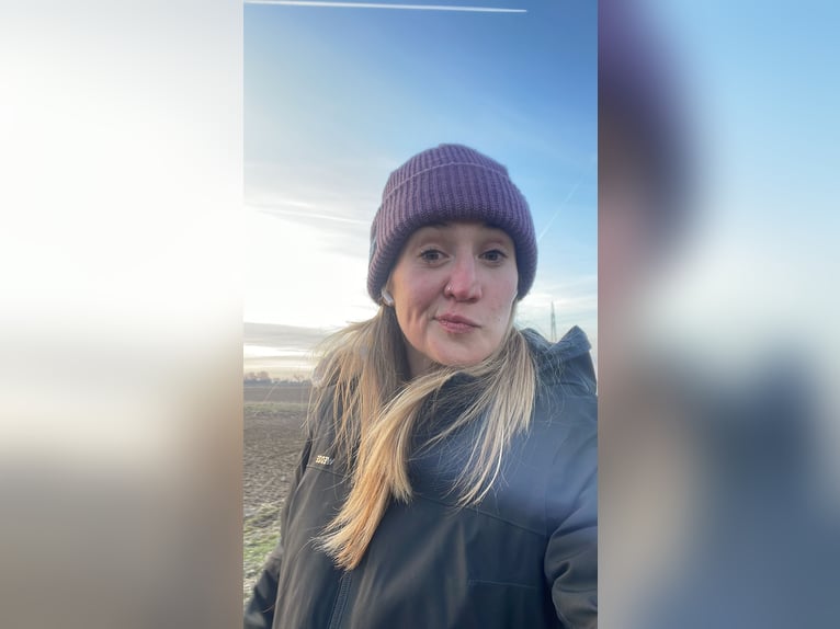 Suche Reitbeteiligung/ privaten Unterricht