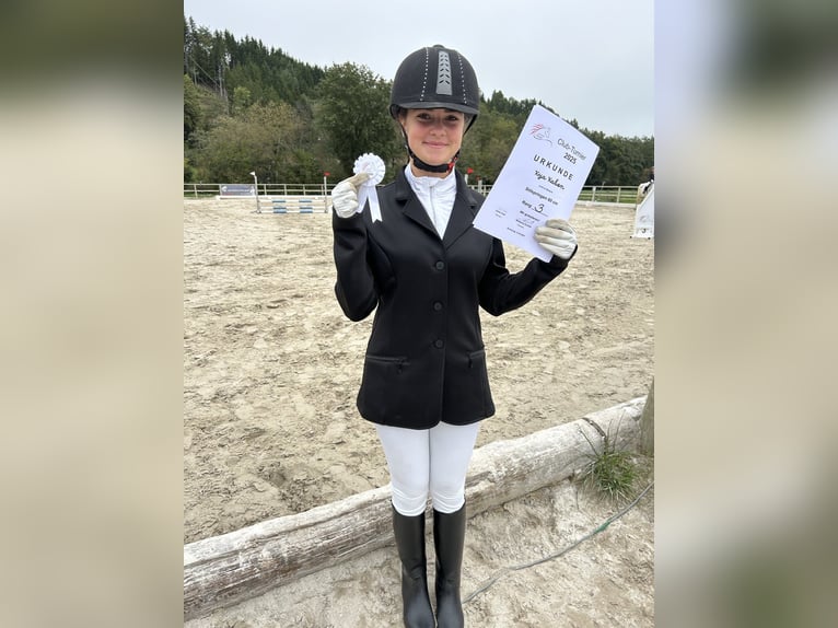 Suche Reitbeteiligung
